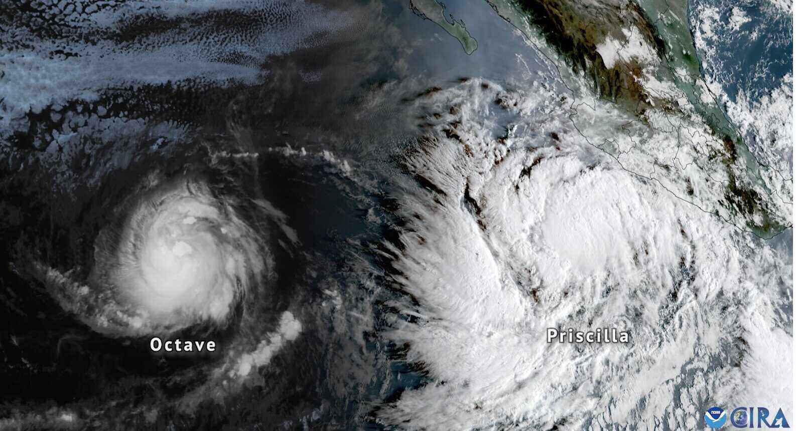 Anh ve tinh cho thay 2 con bao nhiet doi Octave va Priscilla hoat dong cung luc ngoai khoi Thai Binh Duong, gan bo bien Mexico, ngay 6.10.2025. Anh: NOAA