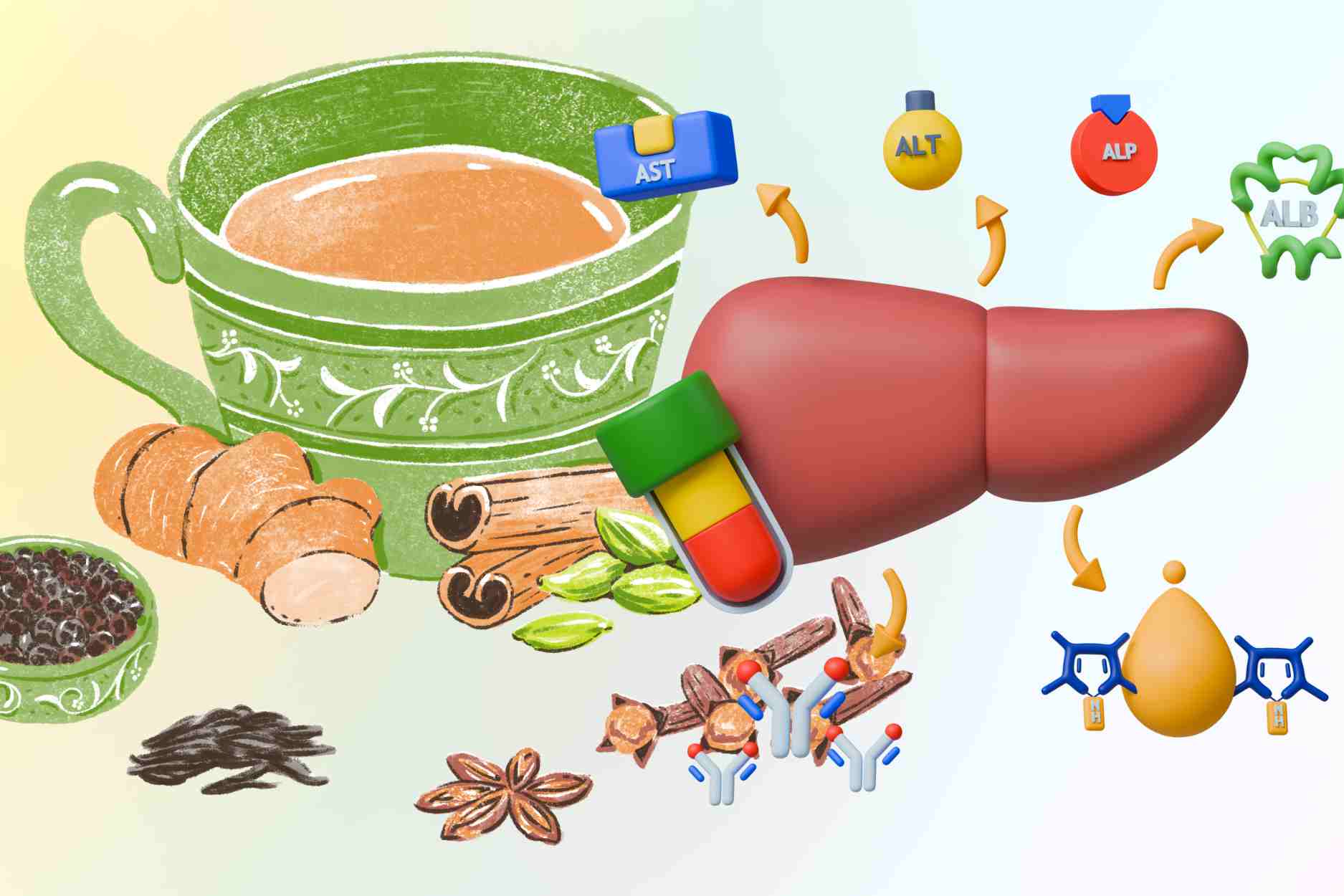 아침에 간에 좋은 차를 마시는 것의 이점