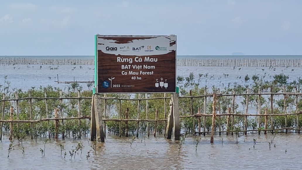 mangrove forests in the coastal alluvial plain of Ca Mau. Photo: Nhat Ho