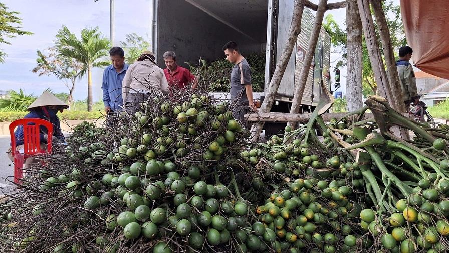 Nhung qua cau duoc thuong lai cho la kem chat luong, chi duoc mua voi gia 2.000 dong/kg. Anh: Vien Nguyen