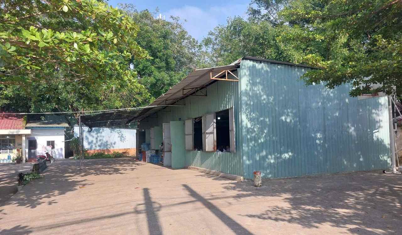Students at An Son Primary School have to study in a corrugated iron classroom. Photo: Duong Binh