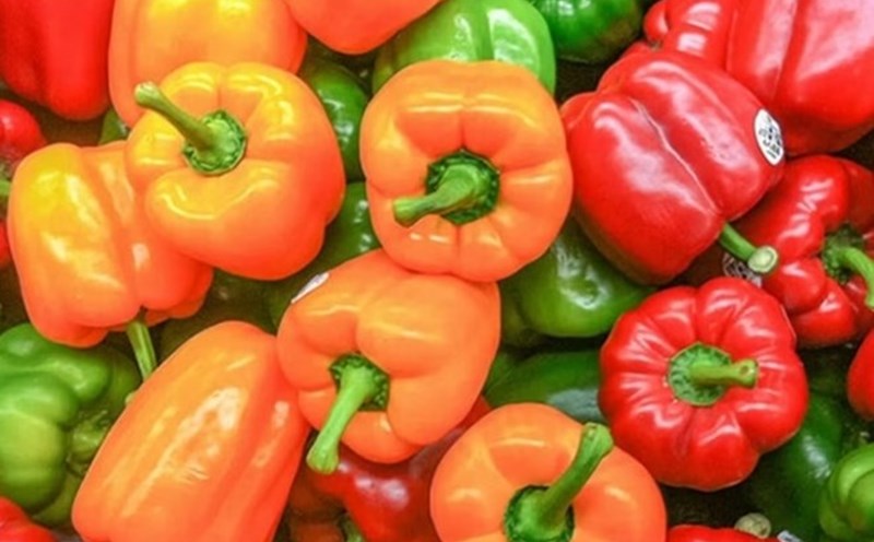 Bell peppers - a small fruit but rich in vitamin C and anti-inflammatory substances help control uric acid effectively. Photo: Kieu Vu.