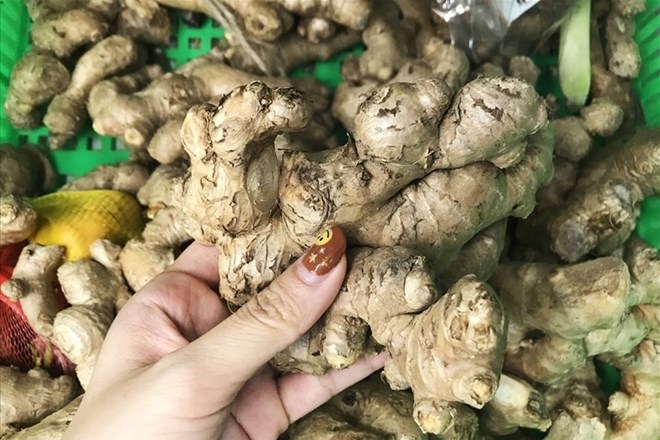 Ginger made with warm lemon is a drink that significantly reduces visceral fat. Photo: Thanh Ngoc.