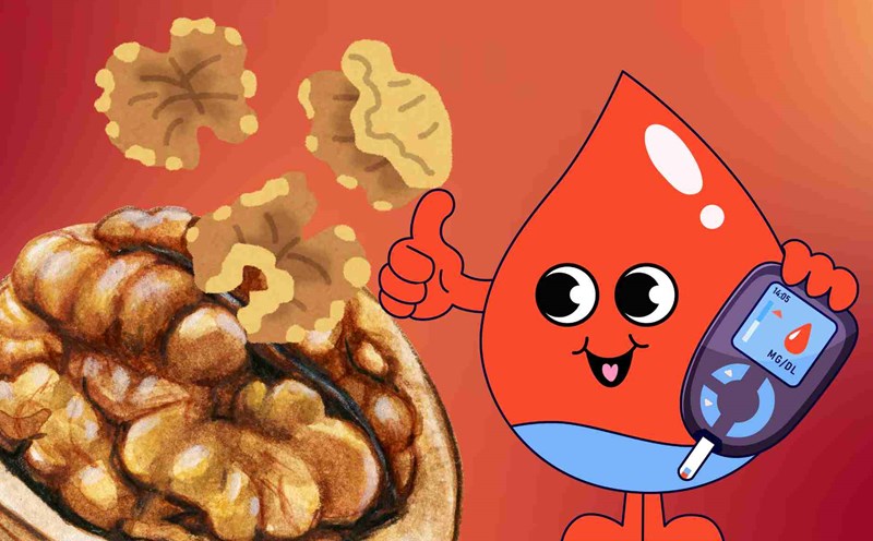 The secret to gold to help absorb all nutrients from walnuts is good for people with diabetes