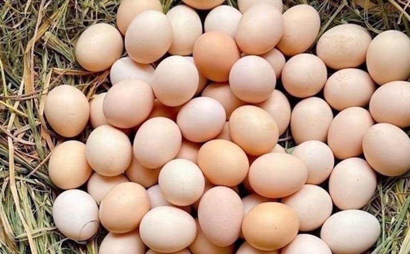 Whether eating a lot of eggs affects the weight loss process or not is something many people want to know. Photo: Kieu Vu