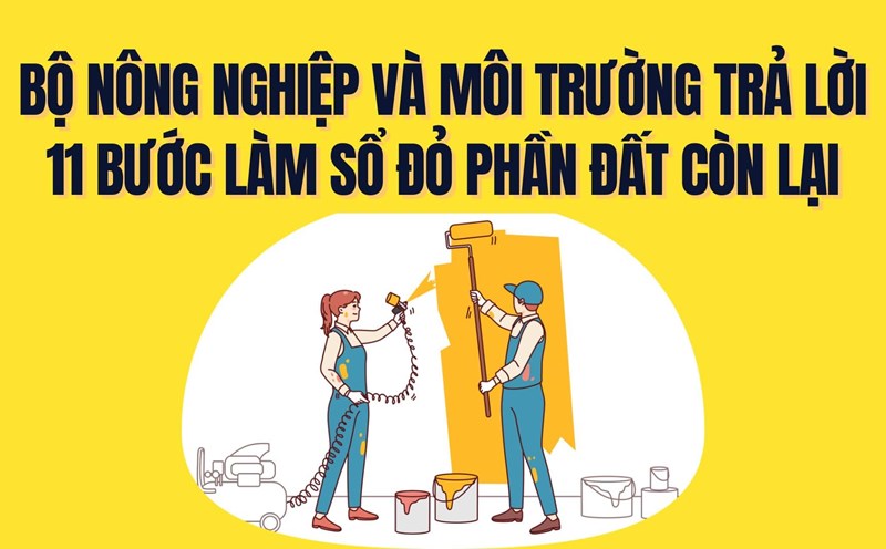 11 detailed steps to get a red book. Graphics: TRa My