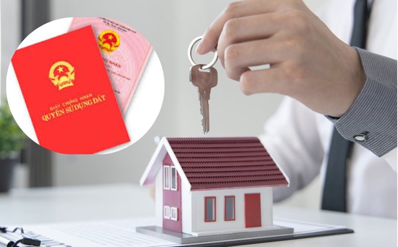 Instructions for buying social housing for single people