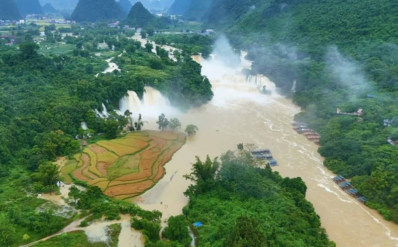 The circulation of storms No. 10 and 11 caused consecutive rain, causing the water level on Ban Gioc waterfall to rise, causing water to flow rapidly. Photo: Ngoc Tan