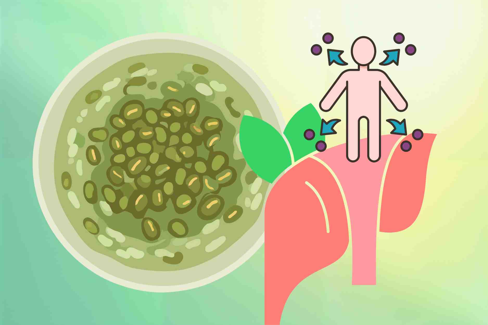 The secret to drinking green bean water every day to help detoxify the liver and cool down