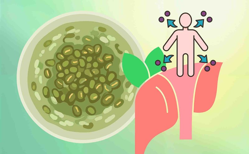 The secret to drinking green bean water every day to help detoxify the liver and cool down