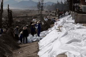 Ha Tinh省で波に打たれた別荘の群れを迅速に修復。写真:Tran Tuan