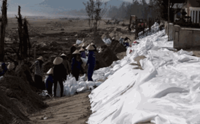 Urgently reinforce the row of villas that were destroyed by waves in Ha Tinh. Photo: Tran Tuan