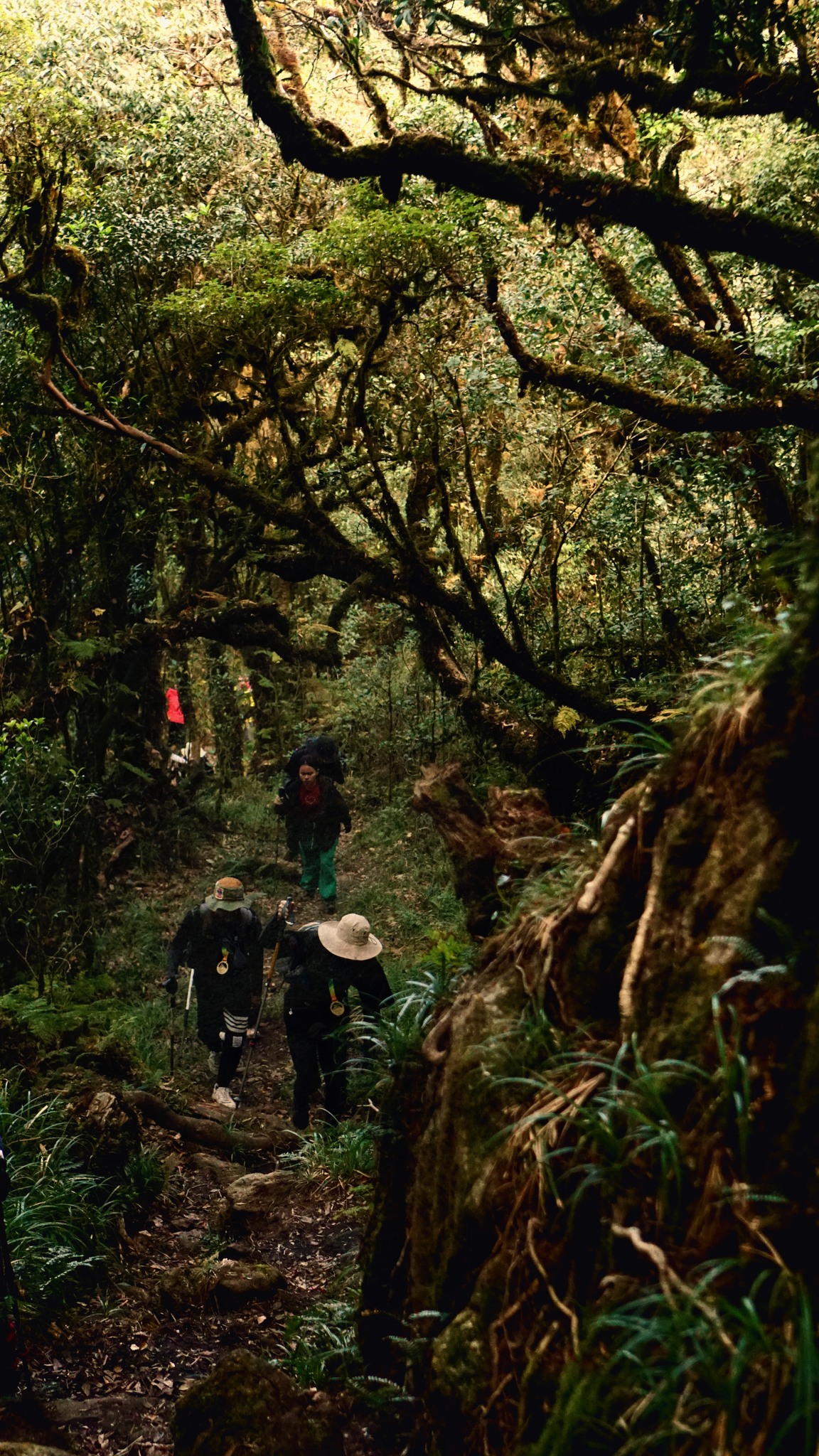 «For tiden organiseres Sa Mu-trekkingturer hovedsakelig av lokalbefolkningen i Xim Vang, inkludert bærere, måltider, hytter i skogen og overnatting i landsbyen. Turismen her er fortsatt ny, infrastrukturen er ikke mye utviklet ennå, så det å bevare skogmiljøet og respektere det lokale rommet er nødvendig for at Sa Mu-reisen skal beholde den opprinnelige skjønnheten til de nordvestlige fjellene og skogene», sa den mannlige trekkeren.