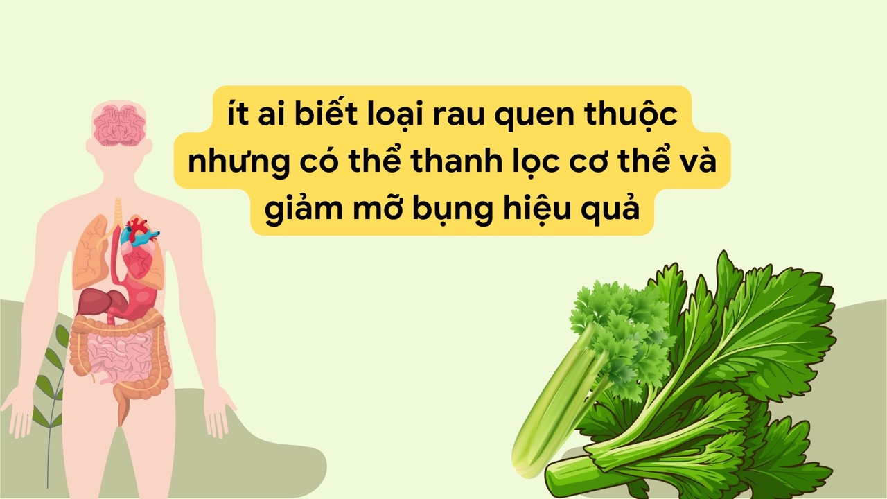 Celery is a very good vegetable to purify the body. Graphic photo: Huong Son