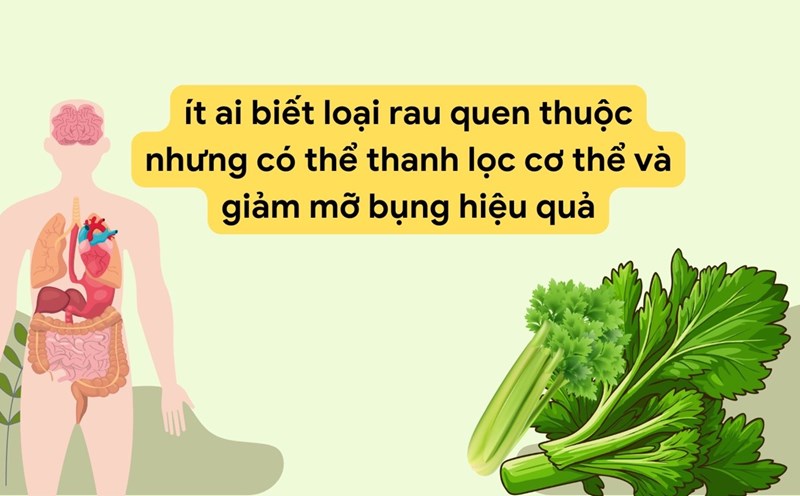 Celery is a very good vegetable to purify the body. Graphic photo: Huong Son