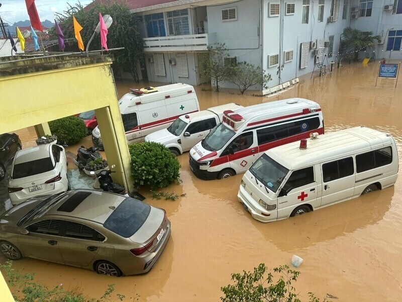 Xe cap cuu cung chim trong bien nuoc. Anh: DVCC