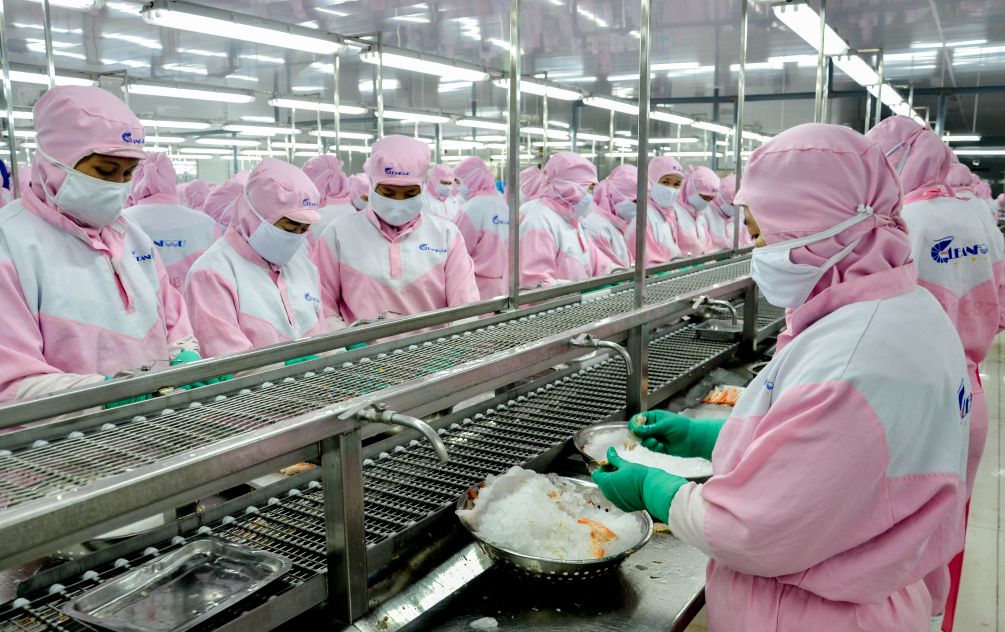 Seafood workers of a business in An Nghiep Industrial Park, Can Tho City. Photo: Phuong Anh