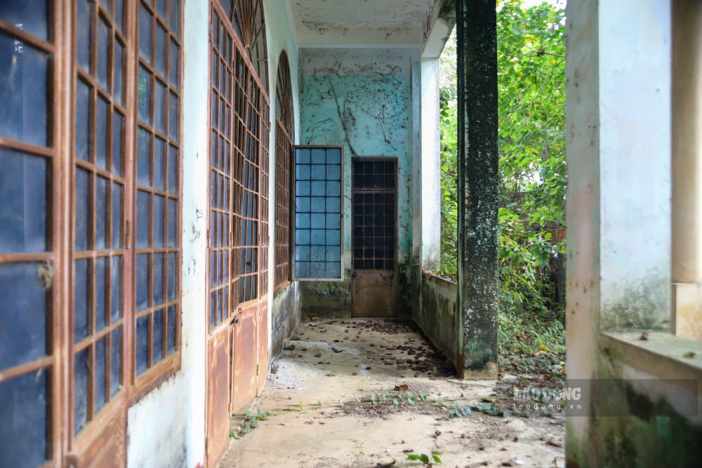Co can con tuong rao phan cach, co can de trong hoan toan, khong ai trong coi hay bao duong. 