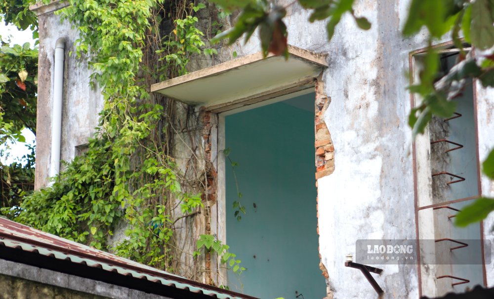 Ghi nhan cua PV Bao Lao Dong, nhin tu ben ngoai vao, cac cong trinh gan nhu bi vay kin boi cay co um tum, va ngap rac thai. 