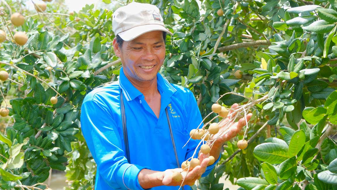 Saisissant le coup de pouce logistique apres la fusion les produits agricoles de Can Tho accelerent leurs exportations