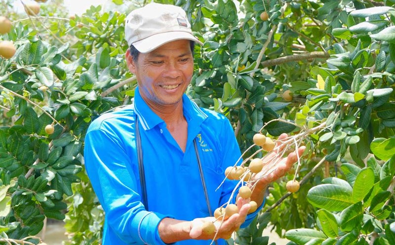 Grasping the logistics boost after the merger, Can Tho agricultural products accelerate exports