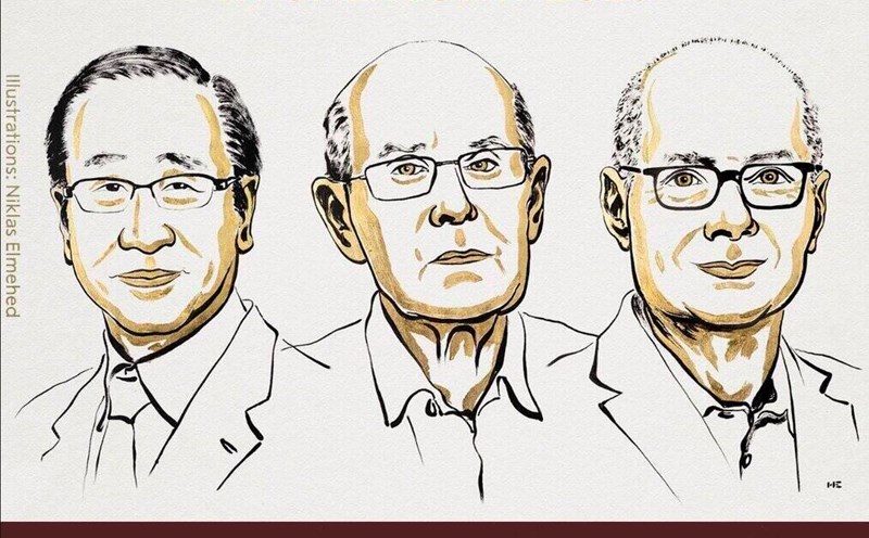 3 scientists won the 2025 Nobel Prize in Chemistry. Photo: Nobel Committee