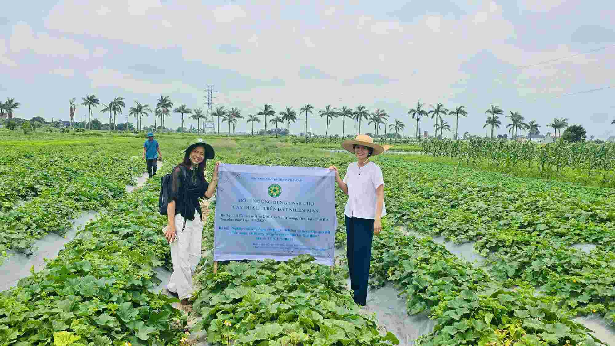 Nguyen Thi Minh 부교수(왼쪽)가 Tien Haiuda Thai Binh(구)의 염분 토양에서 참외 나무에 생명 공학 기술을 적용한 모델에서. 사진: 제공된 인물