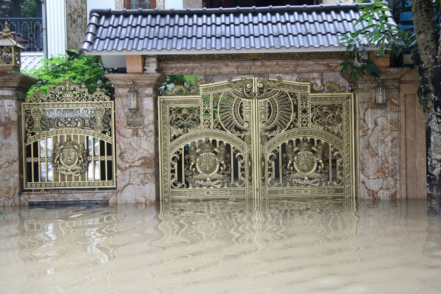 Nhieu can biet thu chim trong bien nuoc lenh lang. Anh: Tran Vuong