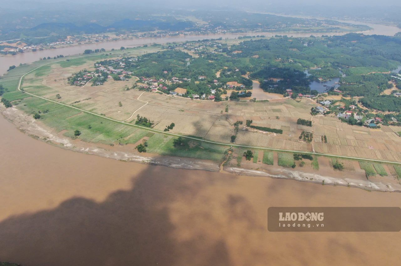 252 ha cay dau tam tai xa Tran Yen bi anh huong do con bao so 10. Anh: Van Duc