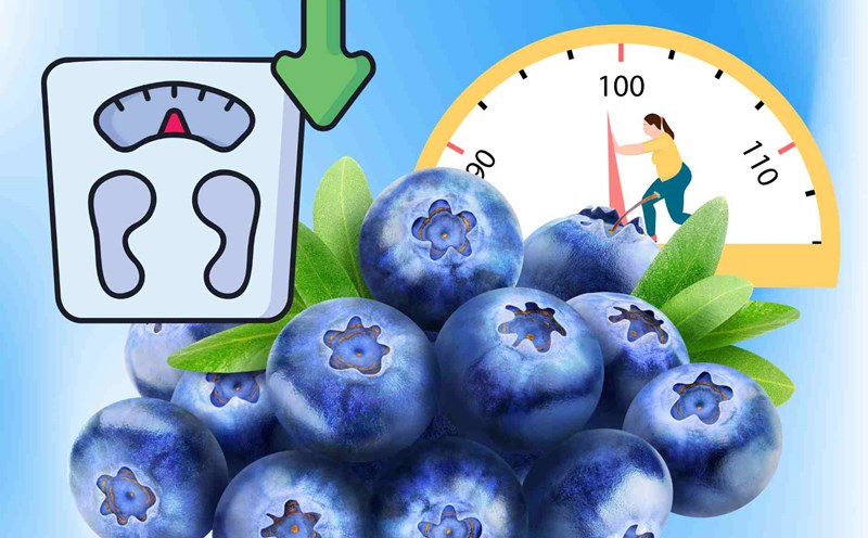 Tips on how to eat blueberries to optimize their benefits and lose weight