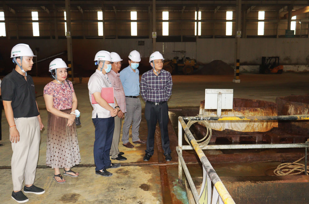 감독단은 탄투언퐁 유한회사의 공장에서 도시 인민의회가 직접 검사하는 것을 전문으로 합니다. 사진: 하이퐁 전자 정보 포털