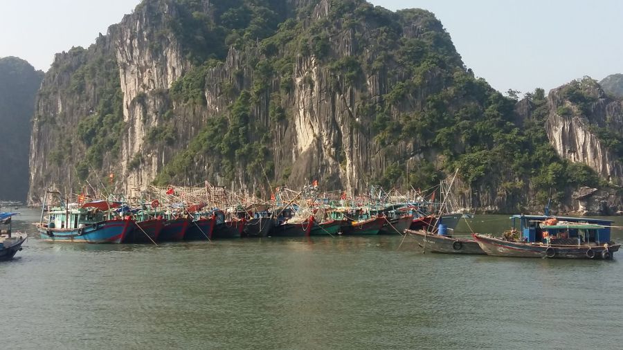 Fishing vessels in Ha Long Bay. Photo: Manh Nguyen