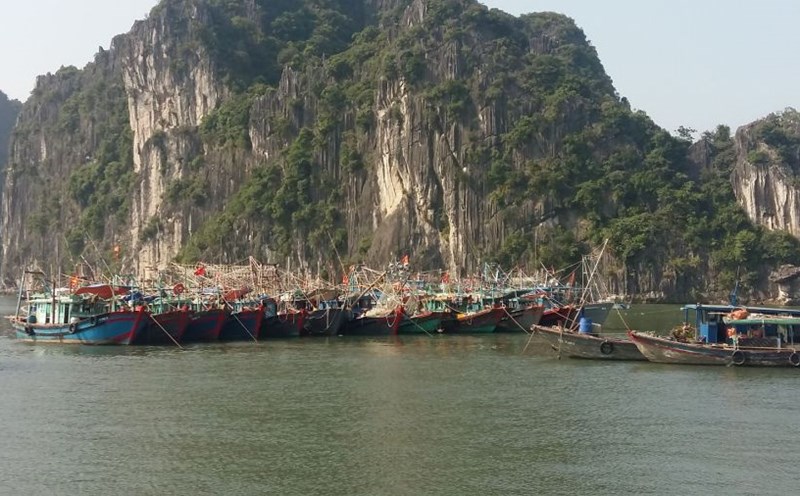 Fishing vessels in Ha Long Bay. Photo: Manh Nguyen