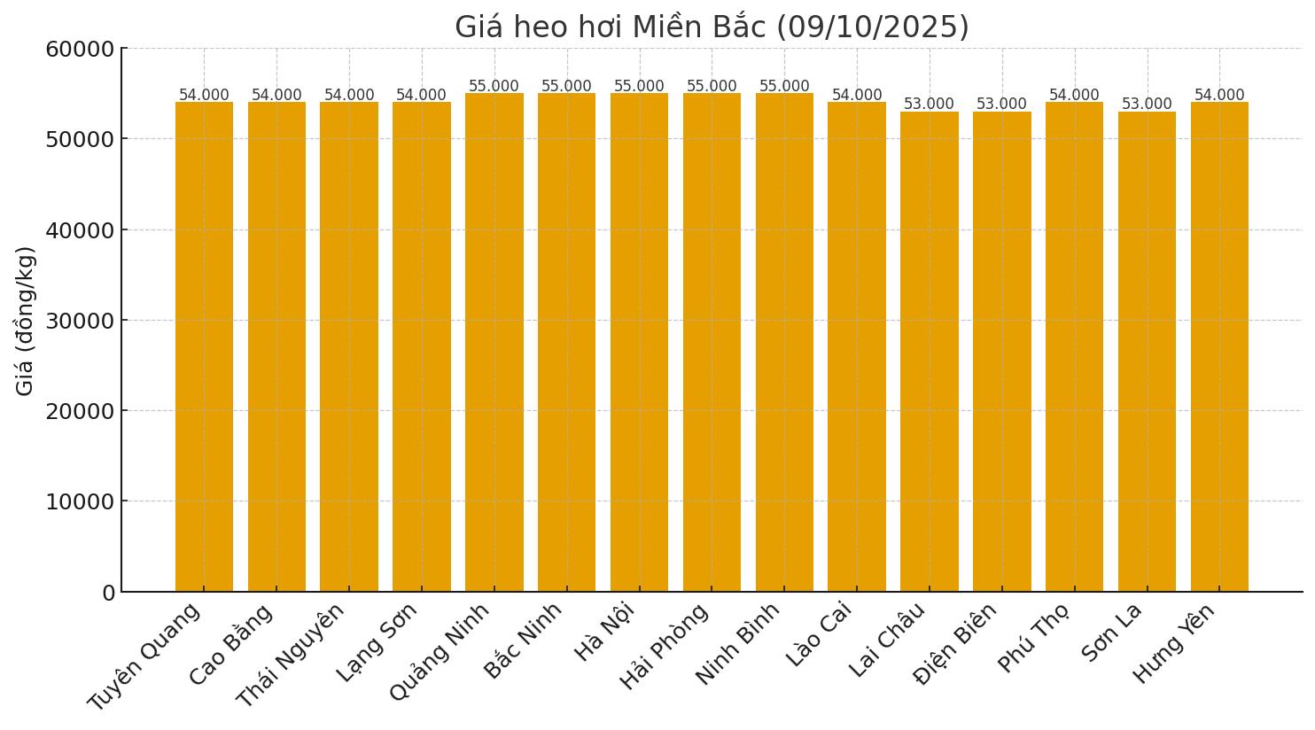 Gia heo hoi hom nay 9.10 o mien Bac. Do hoa: Thuy Linh