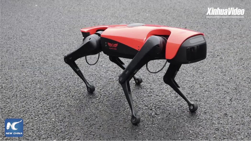 El perro inteligente con IA Alpha Dog es popular en China. Foto: Xinhua