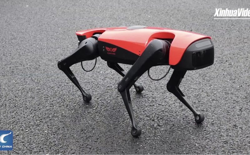 AI-organized Alpha Dogs are popular in China. Photo: Xinhua