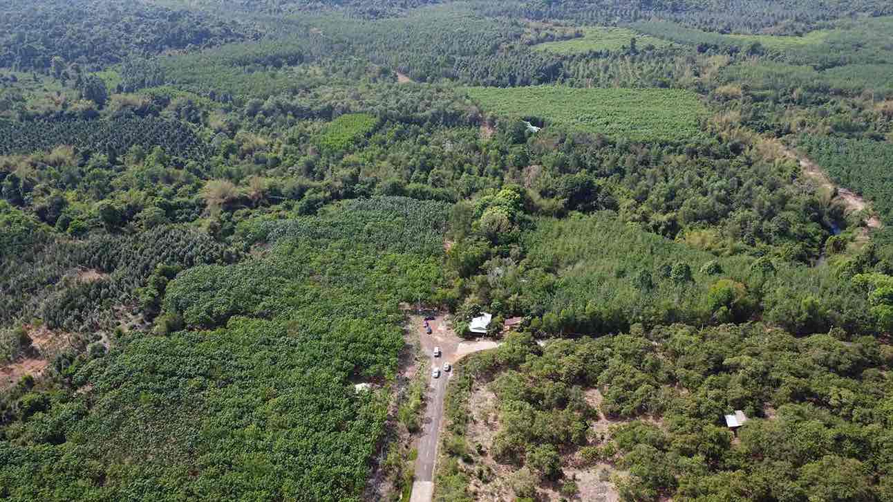 The area where Ma Da bridge is being built, the road connecting Ho Chi Minh City Ring Road 4 to Long Thanh airport. Documentary photo: HAC
