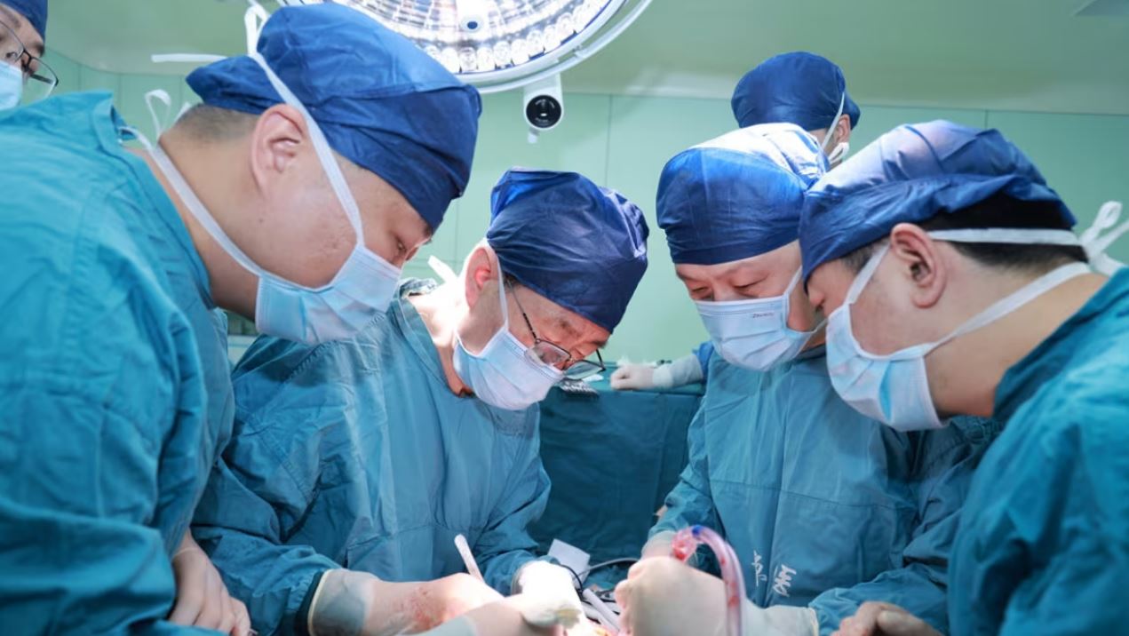 Doctors at Chinese Military University of Medicine and Chemistry performed a pig liver transplant to modify the gene for brain-dead people. Photo: Tay Kinh Hospital