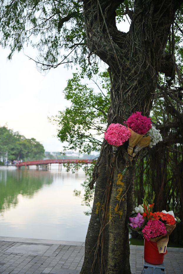 Sac mau mua Thu Ha Noi. Anh: Viet Van