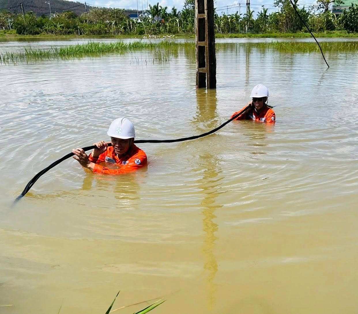 Funcionarios de la Compañia Electrica de Nghe An sumergidos en aguas de inundacion superando el incidente despues de la tormenta numero 10. Foto: Ngoc Anh