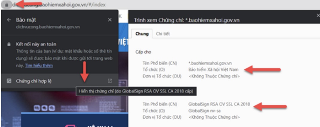 Cong dich vu cong BHXH Viet Nam su dung chung chi bao mat quoc te GlobalSign.