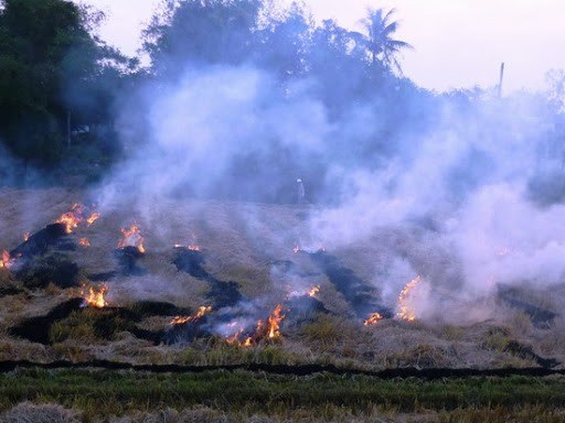 Many solutions have been proposed by the locality to prevent air pollution in Khanh Hoa. Photo: Anh Tuan