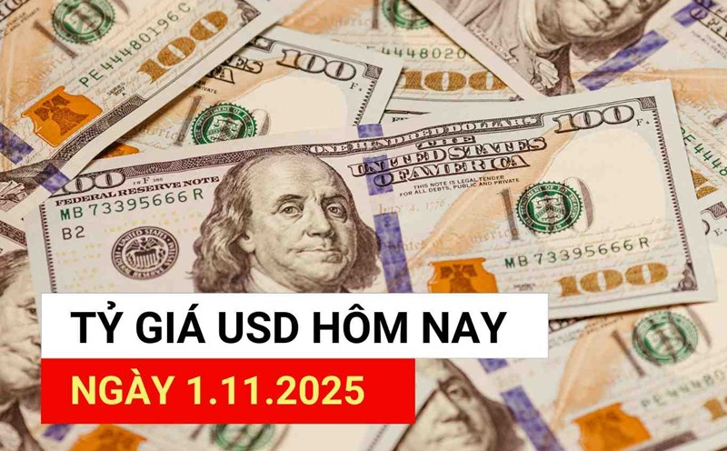 USD exchange rate today 1.11.2025.