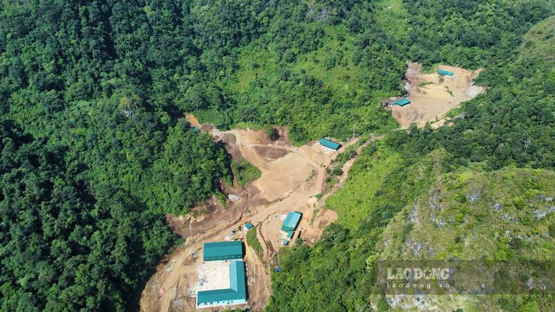 数万平方メートルの林地がブルドーザーで破壊され、破壊された。写真：PVグループ