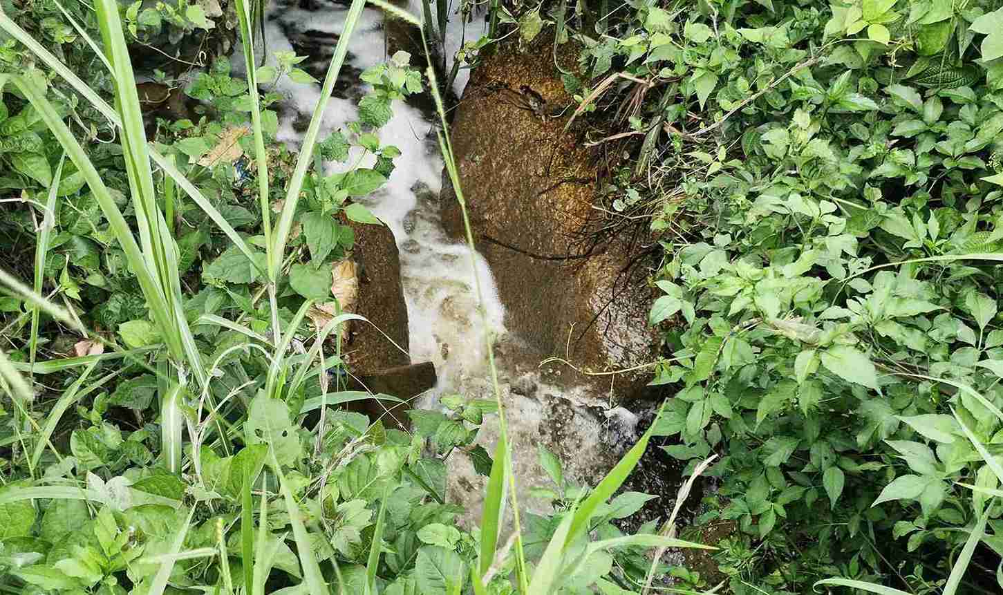 Nuoc thai tu Nha may rac Bao Loc boc mui hoi thoi chay truc tiep xuong suoi Dai Lao. Anh: Phuc Khanh