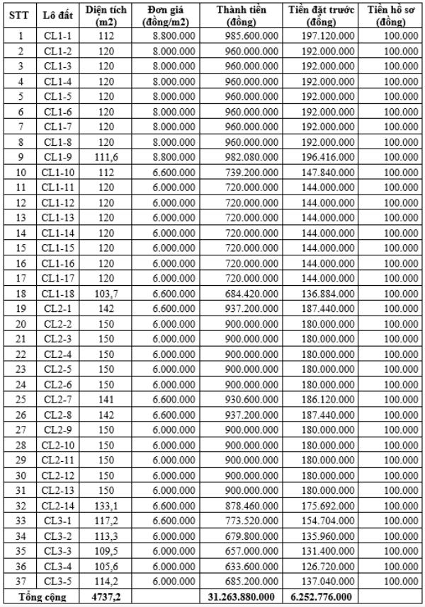 Thong tin phien dau gia 37 lo dat tai dinh cu tai xa Co Le, tinh Ninh Binh. Anh: Cong ty Dau gia Hop danh Nam Bac