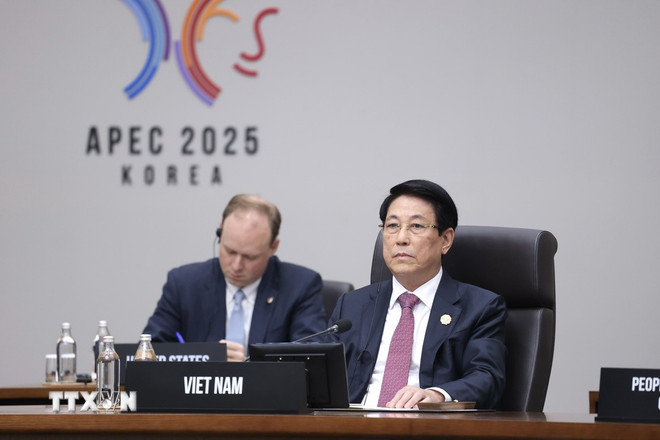 Politburo member and President Luong Cuong attended the 2nd session of the 32nd APEC Summit. Photo: VNA