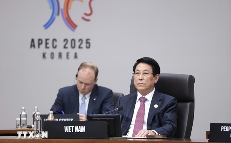 Politburo member and President Luong Cuong attended the 2nd session of the 32nd APEC Summit. Photo: VNA