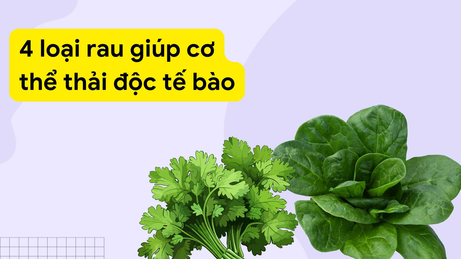 Spinach is rich in folate, which helps the body detoxify cells. Graphic photo: Huong Son