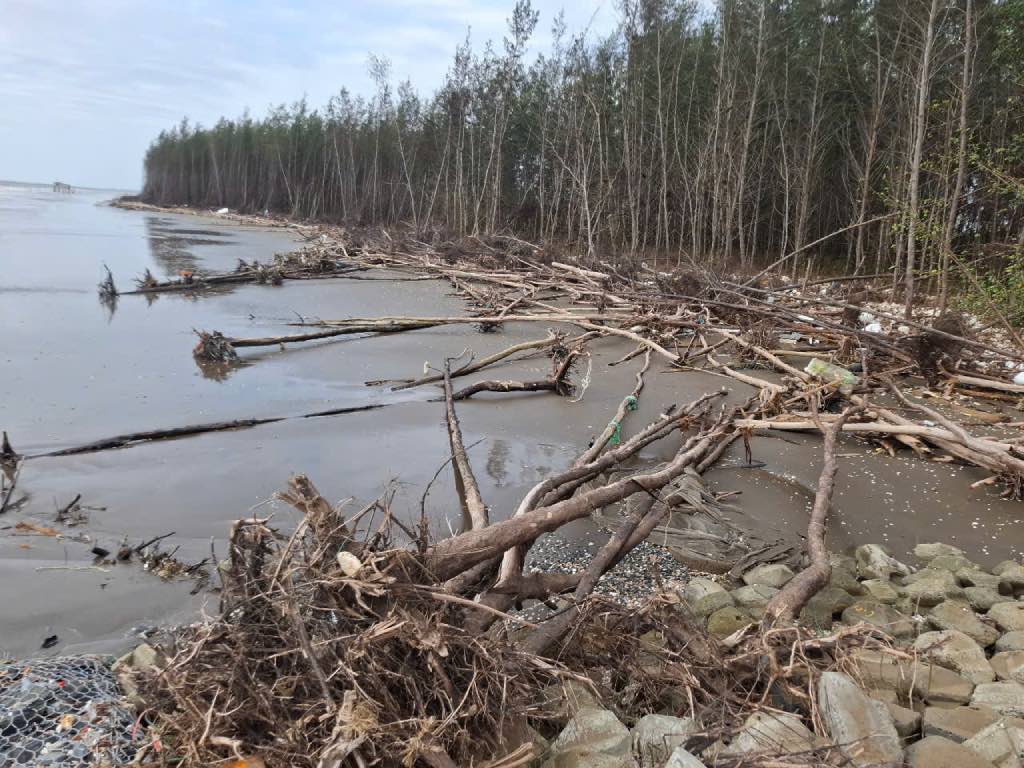 The situation of rising sea levels and eroding deep into the mainland is causing serious erosion along the coast of Vinh Long province. Photo: Quyen Pham